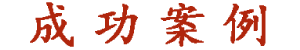成功案例