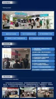 2019年招生專業(yè) 移動(dòng)通信技術(shù)與信息技術(shù)咨詢服務(wù)